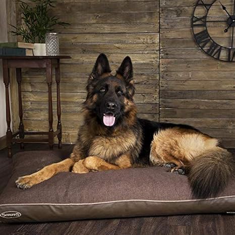 scruffs memory dog bed
