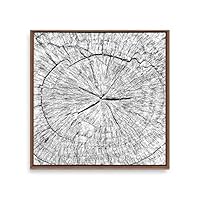 Framed Canvas Wall Art Annual Trajectory Canvas Prints Home Artwork Decoration for Living Room,Bedroom - 16x16 inches