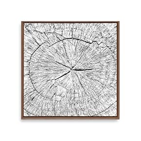 Framed Canvas Wall Art Annual Trajectory Canvas Prints Home Artwork Decoration for Living Room,Bedroom - 16x16 inches