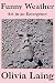 Funny Weather: Art in an Emergency by
