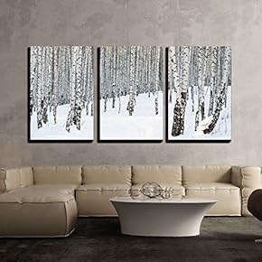 Winter Birch Forest January x3 Panels