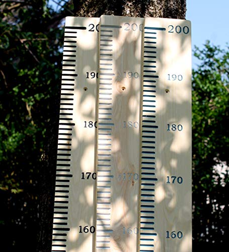 Giant Wooden Ruler Height Chart Metric Measure Amazon Co Uk Handmade