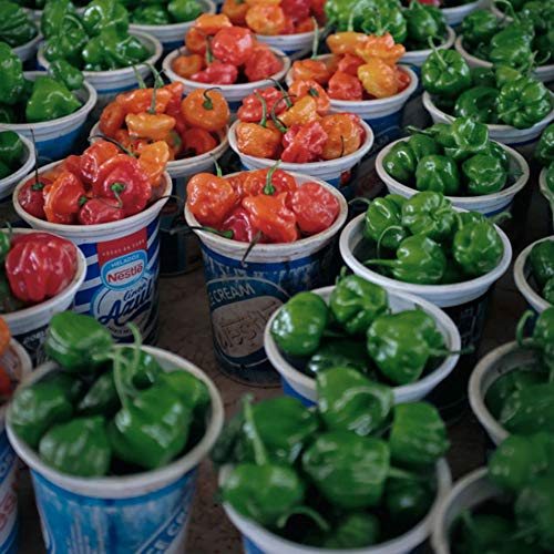 Torchbearer Sauces Best Sellers 3Pack Mini Hot Sauce Gift Set, 1.7 Oz