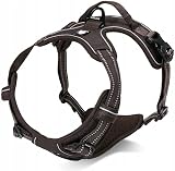 Truelove TLH5651 Dog Harness No-pull Reflective Stitching Brown M view 2