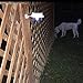 3 Led solar powered bright wireless landscape Light by Cozypony water resistant for Fence Gutter outdoor garden wall pathway with switch