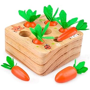 UMBWORLD Wooden Educational Toys for 1 2 3 Year Old Boys and Girls, Carrots Harvest Montessori Shape Size Matching Game…