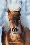 Password notebook: Medium-size internet address and password logbook / journal / diary - Little pony by Keep Track Books