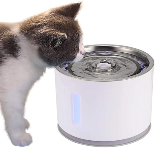 Iwhlmf Automatique Chat Chien Pet Bol Distributeur Deau