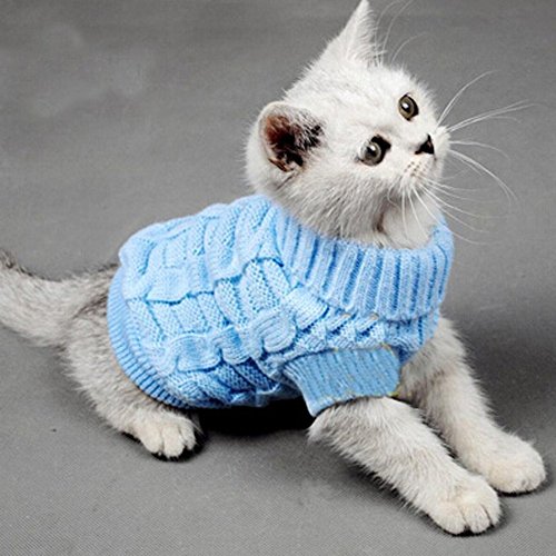Sweaters for Cats: Amazon.com