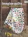 Imagine Quilts: 11 Patterns from Everyday Inspirations by Dana Bolyard