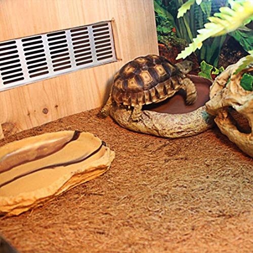 3 Hamiledyi+Reptile+Carpet%25EF%25BC%258CNatual+Terrarium+Supplies