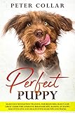 Perfect Puppy: Made Easy Revolution Training for Beginners. Basics and Great Guide for a Positive Be by Peter Collar