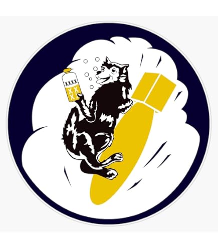 Amazon.com: Usn Black Cat Composite Squadron Vc-13 - Wwii Sticker