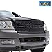 EAG 04-08 Ford F-150 Raptor Grille Glossy Black ABS Replacement Grill With Shell