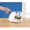 Kenwood Mini Chopper, 0.35 Litre Dishwasher Safe Bowl, 2 Speeds, Rubber Feet for Food Chopper Stability, 300 W, CH180B…