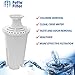 Fette Filter – Pack of 6 Water Replacement Filters Compatible with Standard Brita Water Pitchers