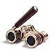Uarter Generic Opera Theater Horse Racing Glasses Binocular Telescope with Handle (Red with Gold Trim) 3X25 (Gold-Red)