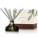 Thymes Frasier Fir Reed Diffuser - 4.1 fl.oz.