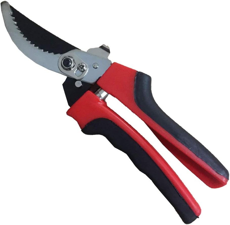 Hejwh Pruning Shears, Pruners Garden Small Bypass Professional Labor