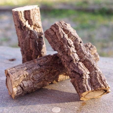 Amazon コルク ブランチ Sサイズ 12cm 枝 着生 観葉植物 オンライン通販