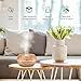ASAKUKI Essential Oil Diffuser with Remote Control, 500ml Cool Mist Humidifier, 16 Hours Operation Aroma Diffuser with Waterless Safety Switch & 14 LED Colors – Wood Grainthumb 4