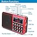 PRUNUS Portable Radio SW/FM/AM(MW)/MP3/USB/SD/TF Rechargeable with Neodymium Speaker. Large Button and Large Display. Stores Stations Automatically. (NO Manual Memory/Delete Stations Function)