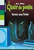 Terreur sous l'Ã©vier (French Edition) by 