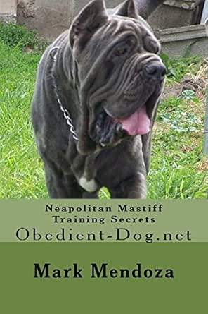 working line neapolitan mastiff