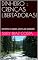 Livro DINHEIRO : CRENÇAS LIBERTADORAS!: REPETIR 33 VEZES ANTES DE DORMIR (1)