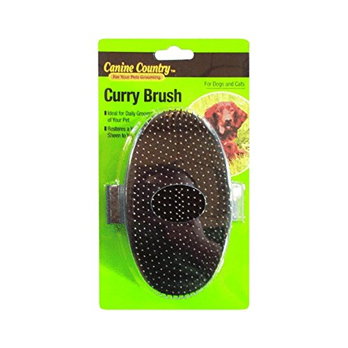 Westminster Pet 19781 Bulk Buy Products Palm Pin Curry Brush for Dogs & Cats