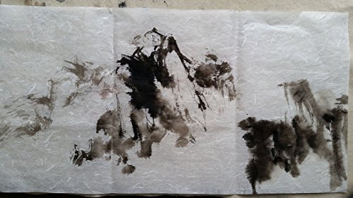 10 Sheets of Dragon Clouds Thin Mulberry Paper #2B 13.5"x26" 23gsm