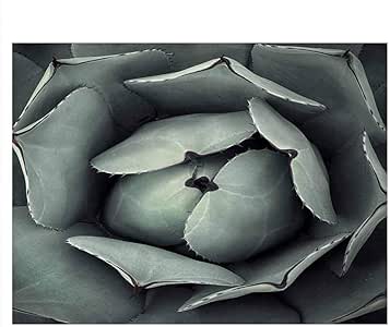 cactus fish tank decoration