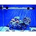 MingDak LED Aquarium Light for Fish Tanks,30 LEDs,11-inch,Blue…