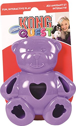 kong quest critters frog dog toy