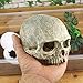 Hewnda Aquarium Decor Resin Artificial Head Skeleton Decoration – Aquarium Otaru Aquarium Decorative Cave Landscape Pet Reptile Housethumb 2