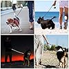 JBYAMUK-5-FT-Strong-Dog-Lead-with-Comfortable-Padded-Handle-and-Highly-Reflective-Threads-for-Small-Medium-and-Large-Dogs-5-FT-Black JBYAMUK 5 FT Strong Dog Lead with Comfortable Padded Handle and Highly Reflective Threads for Small, Medium and Large…