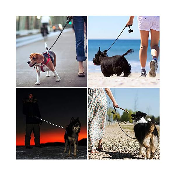 JBYAMUK-5-FT-Strong-Dog-Lead-with-Comfortable-Padded-Handle-and-Highly-Reflective-Threads-for-Small-Medium-and-Large-Dogs-5-FT-Black JBYAMUK 5 FT Strong Dog Lead with Comfortable Padded Handle and Highly Reflective Threads for Small, Medium and Large…