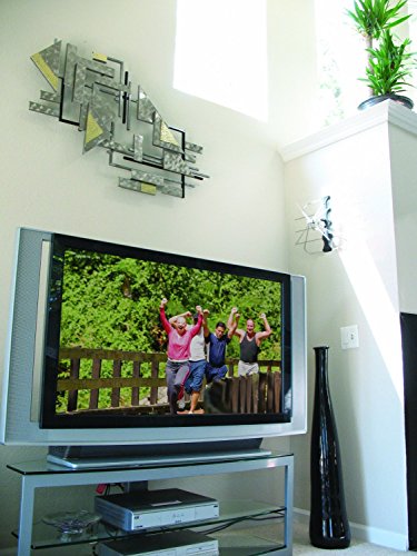 Winegard FreeVision FV-30BB Indoor and Outdoor Digital HDTV Antenna (4K Ultra-HD Ready, ATSC 3.0 R - coolthings.us