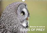 Beauty in nature BIRDS OF PREY 2020: A variety of different birds of prey in natural settings (Calve by 
