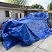 20'x25' Heavy Duty Waterproof Tarps - Multi-Purpose Blue Tarpaulin with 4 Grommets, Reinforced Edges and Nylon Paracord for Outdoor Rain Shelter, Ground Cover, Boat, RV or Pool Cover