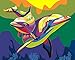 ifymei Paint by Numbers for Kids and Adults Beginner, DIY Gift Canvas Painting Kits for Boys and Girls, 16x20 Inch Colorful Dolphin [Without Frame]