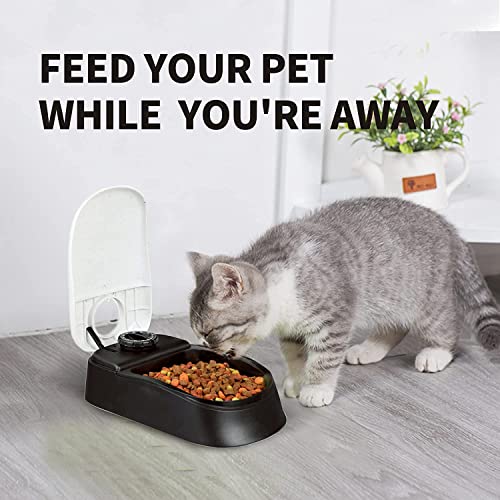 PAWISE Automatic Pet Feeder, Auto Dog Dry Food Dispenser with Timer for