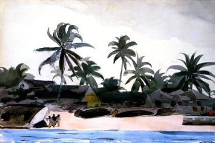 Amazon Com Key West Negro Cabins And Palms 1898 Florida Beach