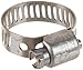 Breeze Miniature Stainless Steel Hose Clamp, Worm-Drive, SAE Size 6, 7/16