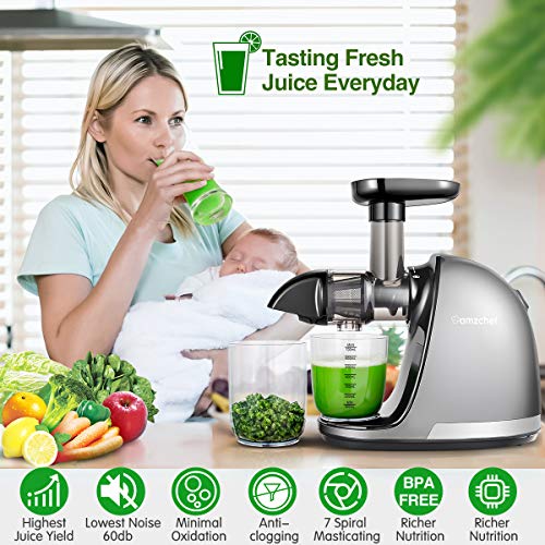 Slow Masticating Juicer, AMZCHEF Slow Juicer Extractor Professional