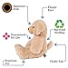 Vermont Teddy Bear Amazon Exclusive Oh So Soft Puppy Dog Stuffed Animals and Teddy Bears, Brown, 18 Inches