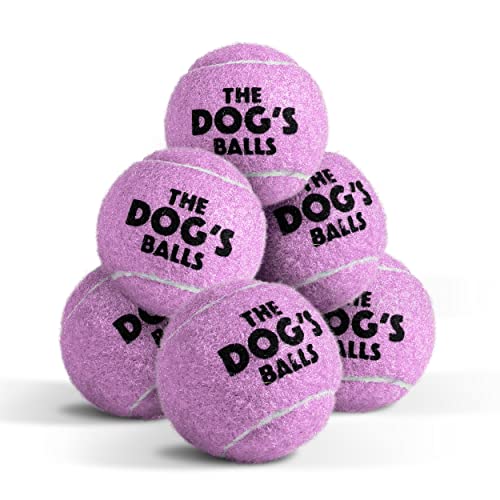 Little Dog's Balls Small Dog Tennis Balls Purple