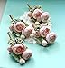 Yokoke Pink Groom Boutonniere with Pin, Artificial Succulent Plants Best Man Boutineers Buttonholes Corsage Bouquet Silk Flowers for Wedding Prom Man Suit Decor 4 Pcs