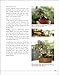 Majesty in Miniature : Shohin Bonsai: Unlocking the Secrets of Small Trees