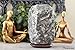 Rare Caviar Grey Gray Himalayan Salt Lamp-Made in Pakistan- Chenab (5-7 lbs, 8